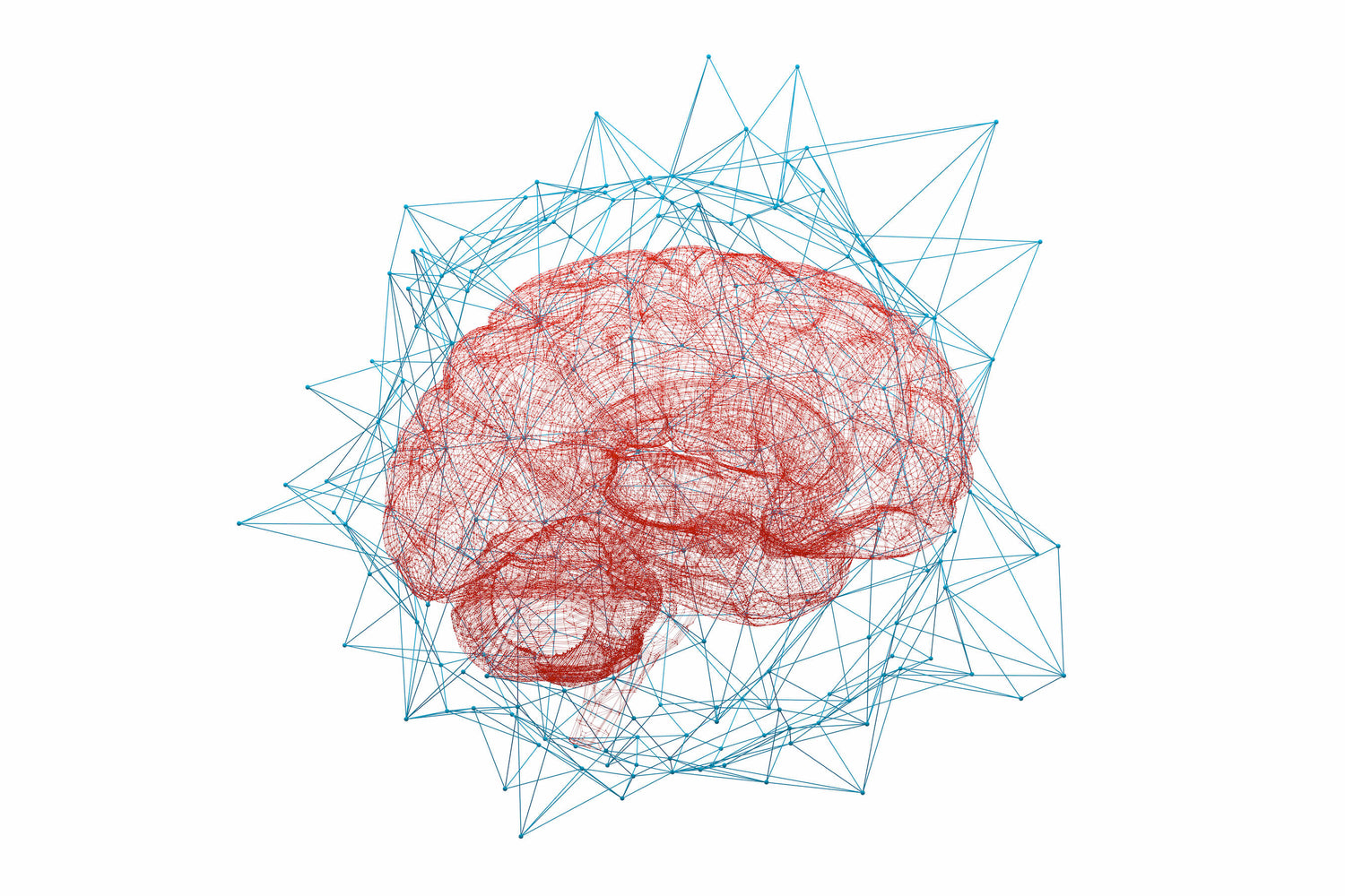 brain science and neural network